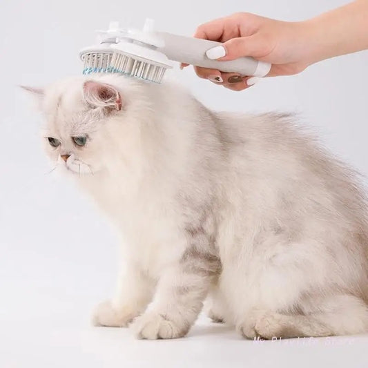 Pet Double Self-Cleaning Brush